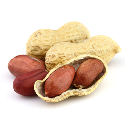 Peanuts wholesale by Samrin Trade